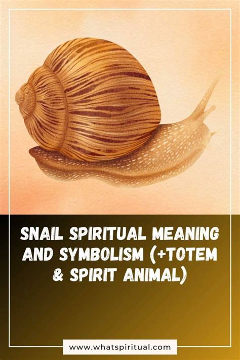 Snail Spiritual Meaning, Symbolism, an.